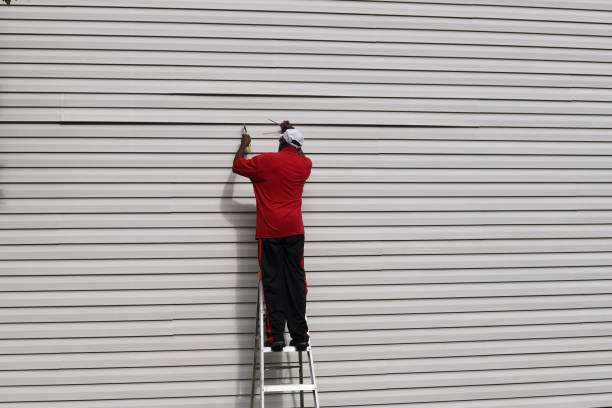 Best Custom Siding Design  in Sanibel, FL