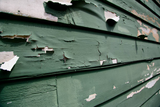 Storm Damage Siding Repair in Sanibel, FL