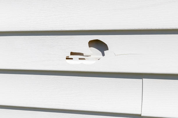 Best Brick Veneer Siding  in Sanibel, FL