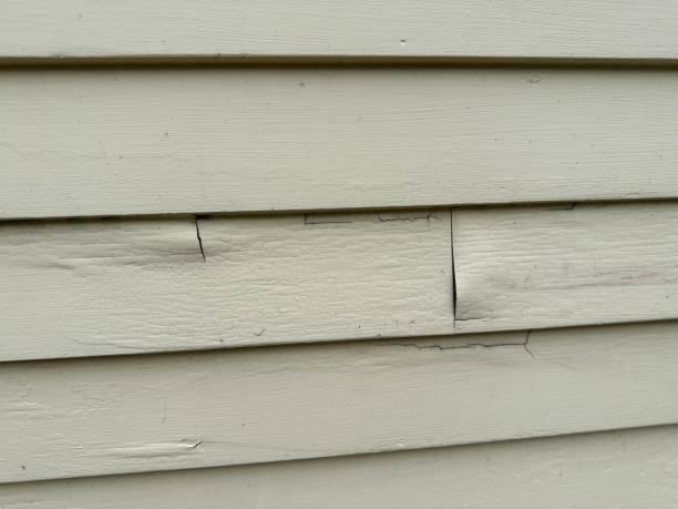 Best Siding Repair  in Sanibel, FL